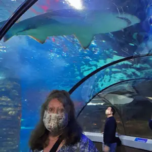 A LevelUp NDIS Support Worker on the Sunshine Coast is wearing a face mask standing in front of shark tank.